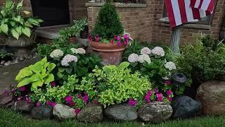 Rainy Garden Tour ~ No Talking // Suburban Oasis