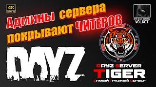 Админы сервера TIGER покрывают ЧИТЕРОВ | #dayz