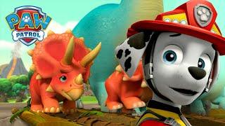 De Pups redden Dino Wilds van een vulkaanuitbarsting en meer! - PAW Patrol Nederlands