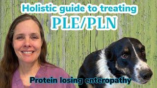 How to cure canine PLE/PLN using holistic techniques and homemade diets.