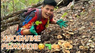 ВОТ ОНИ!! Нашли НЕТРОНУТОЕ место с РЫЖИКАМИ