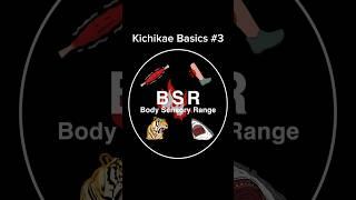 EP3. The Sensory Range of Your Body ‍️