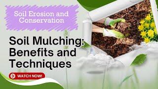 Soil Mulching Benefits & Techniques | Boost Crop Health | Spring Scientific 