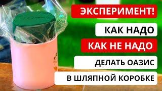 ОАЗИС В ШЛЯПНОЙ КОРОБКЕ! Как ПРАВИЛЬНО работать с оазисом, чтобы шляпная коробка не промокла?