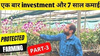 ORCHID FLOWER FARMING | POLLYHOUSE | एक बार इनवेस्टमेंट 7 साल कमाई | ऑरकिट की खेती Part -3