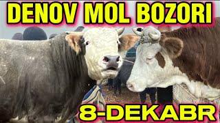 DENOV MOL BOZORIDAGI NARXLAR 08.12.2024y #simental #buqalar #narxlari #surxon #obzor #rek #chorva