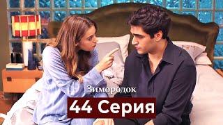 Зимородок 44 Cерия (Русский дубляж)