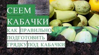 Посадка Кабачков. Как Правильно Подготовить Грядку для Кабачков.