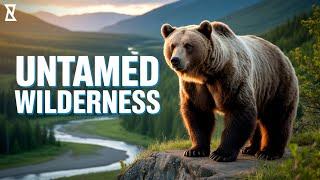 Valley of the Bears | Untamed Giants of the Wilderness | Documentary
