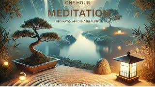 I Survived 1 Hour Of Mindfulness Meditation