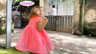 What's happening to Lyly??? Monkey Lyly is worried when she wakes up but her mother is not home