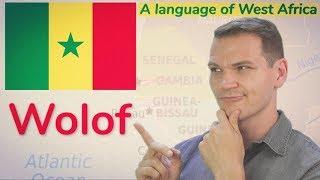 WOLOF! An Intriguing Language of West Africa