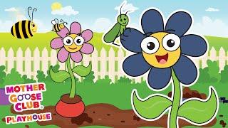 Flower Finger Family | Mother Goose Club Nursery Rhyme Cartoons