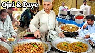 AMAZING LOCAL FOOD OJRI SIRI PAYE & CHANAY CHAWAL MOST POPULAR STREET FOOD VIDEOS COLLECTION