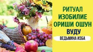 ВУДУ. ИЗОБИЛИЕ. ОРИШИ ОШУН.ТОЛЬКО ДЛЯ ПРАКТИКОВ. ВЕДЬМИНА ИЗБА ▶️ ИНГА ХОСРОЕВА