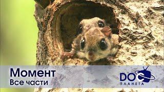 Момент. Все части - Документальный фильм