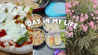 Wednesday Vlog #4 | Preparation of Lunch Box for Kids Egg Fried Rice & Pizza @home