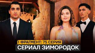 1 ФРАГМЕНТ! Турецкий сериал Зимородок 3 сезон 75 серия русская озвучка