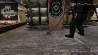 dogs cs fails