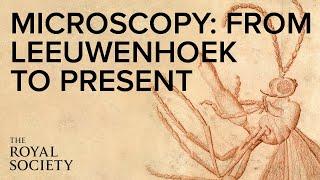 From Leeuwenhoek to the electron microscope | The Royal Society