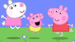 Peppa Pig Świnka Peppa po Polsku | Świnka Dzidzia ! | Bajki Po Polsku