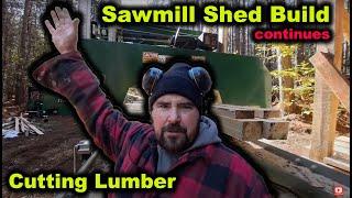 Cutting Lumber for the New Sawmill Shed (Episode 10)