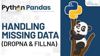 Handling Missing Data (Dropena and fillna) | Pandas tutorial