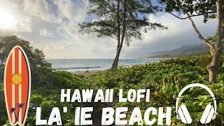 Hawaii LoFi at La'ie Beach| relaxation | study w/ LoFi beats  | Beach waves and Bird sounds