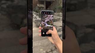 OnePlus 13 telephoto camera captures live photo. Competing against the iPhone feature! #oneplus