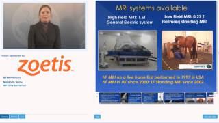 eBEVA Webinar: Meredith Smith - MRI of the equine foot