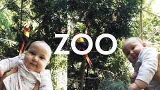 Kid at the ZOO | Family trip to the ZOO | Learn ZOO Animals | ZOO in Queens