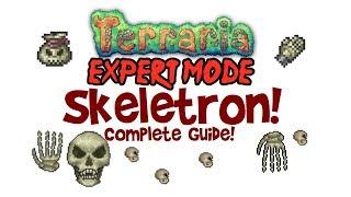 Terraria Skeletron Expert Guide (+Normal too! Boss Fight, Drops, Arena, Clothier Voodoo Doll)