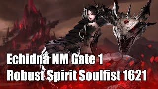 [Lost Ark] Robust Spirit Soulfist - Echidna Normal Mode Gate 1 -  1621