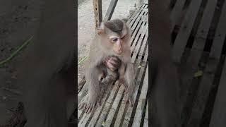Baby lovely with mother