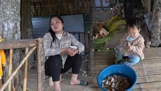 Tieu Ca can now move on the forest road by himself - nutritious food