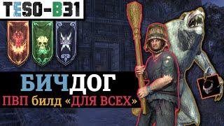  БИЧДОГ. Универсальный ПВП билд на любой класс. (БГ, Одна шмотка, Оборотень) TESO(2024)