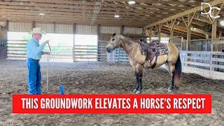 D/C Essential Groundwork To Develop A Respectful Horse
