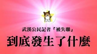 Wuhan Citizen Journalist Bin Fang was Disappeared after Revealing Coronavirus Facts at hospitals