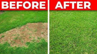 How to Fix a Bare Spot in the Lawn - 3 Tips for Fast Repair