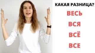 Весь, вся, всё, все || Какая разница?