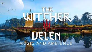 The Witcher 3 - Velen - Traveling Ambient Music for Relaxation/Meditation