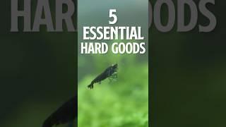 5 Essential Hard Goods for Shrimp Keeping PT 1