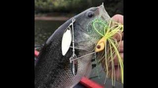 2024 Nebraska's Top 10 Largemouth Bass Fishing