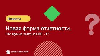 ЕФС-1: новая форма отчетности!  Что нужно знать