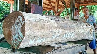 sawing teak logs from the forestry department into wooden blocks full of old and dense fibers