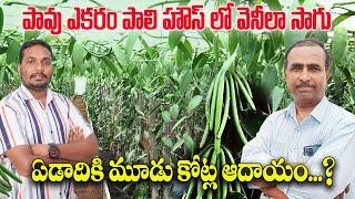 వెనీలా సాగు తో కోట్లల్లో ఆదాయం | Most Expensive Spice Vanilla Farming | AgriTech Telugu