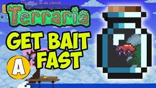 Terraria how to get Bait (EASY) | Terraria Farm Bait  | Terraria 1.4.4.9 Bait