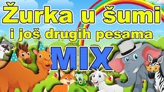 Žurka u šumi MIX | Muzika za decu MIX | Kompilacija pesama za decu | Dečije pesmice MIX | Pesme