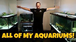 ALL OF MY AQUARIUMS! 220 Gallon Aquarium and Fish Room Updates!