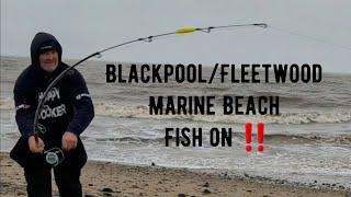 Blackpool/Fleetwood Marine Beach Fish on ‼️ uk sea fishing